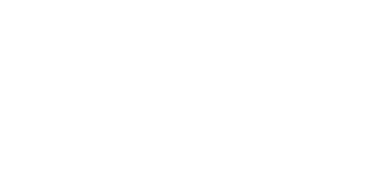Netronical